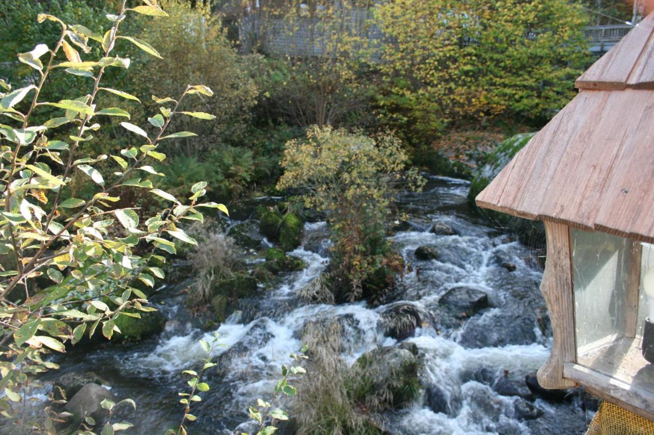 Gaestehaus Zur Lilie Triberg im Schwarzwald Luaran gambar